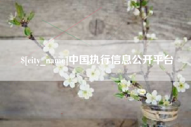 佛山中国执行信息公开平台