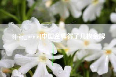 佛山中国金牌得了几枚金牌