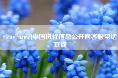 佛山中国执行信息公开网客服电话查询