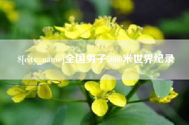 佛山全国男子5000米世界纪录