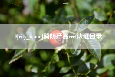 佛山消防产品cccf认证目录