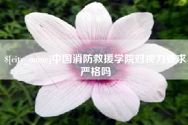 佛山中国消防救援学院对视力要求严格吗