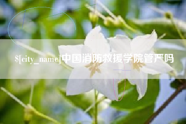 佛山中国消防救援学院管严吗
