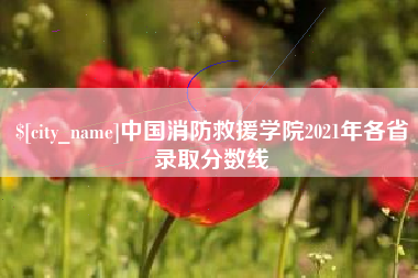 佛山中国消防救援学院2021年各省录取分数线