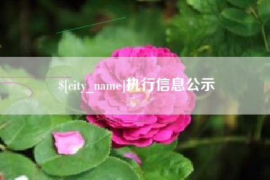 佛山执行信息公示