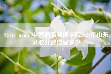佛山中国消防救援学院2021年山东录取分数线是多少