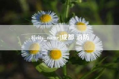 佛山成都 消防