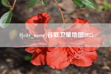 佛山谷歌卫星地图2025