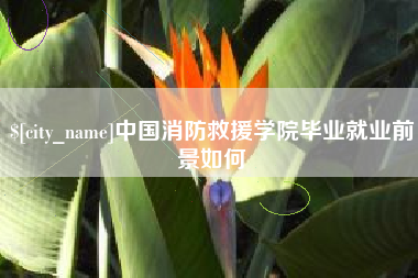 佛山中国消防救援学院毕业就业前景如何