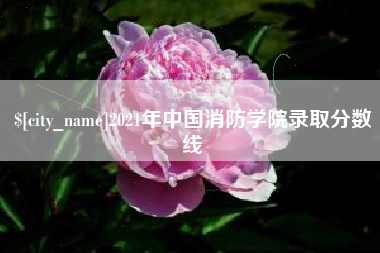 佛山2021年中国消防学院录取分数线