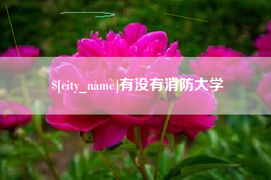 佛山有没有消防大学