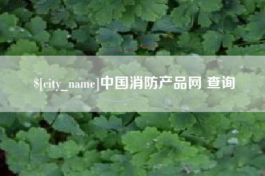 佛山中国消防产品网 查询