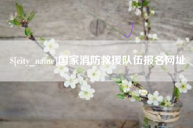 佛山国家消防救援队伍报名网址
