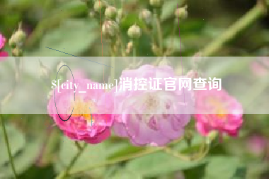 佛山消控证官网查询