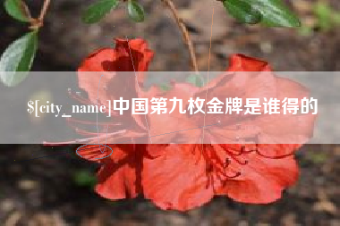 佛山中国第九枚金牌是谁得的