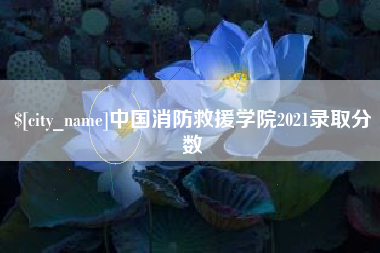 佛山中国消防救援学院2021录取分数