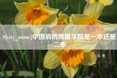 佛山中国消防救援学院是一本还是二本