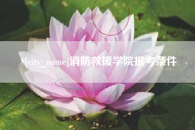 佛山消防救援学院报考条件