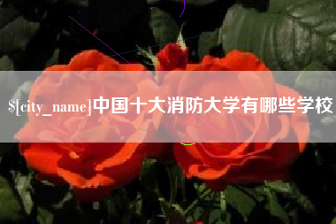 佛山中国十大消防大学有哪些学校