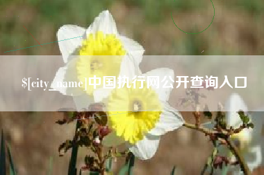 佛山中国执行网公开查询入口