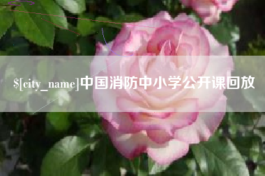 佛山中国消防中小学公开课回放
