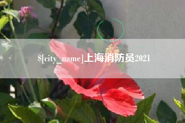 佛山上海消防员2021