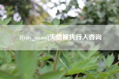 佛山失信被执行人杳询