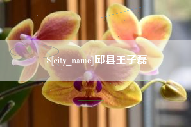 佛山邱县王子磊