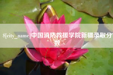 佛山中国消防救援学院新疆录取分数