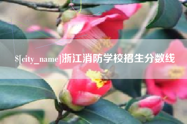 佛山浙江消防学校招生分数线
