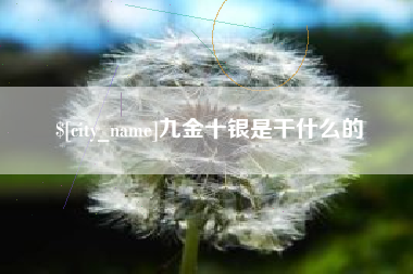 佛山九金十银是干什么的