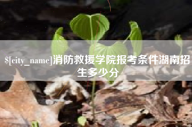 佛山消防救援学院报考条件湖南招生多少分