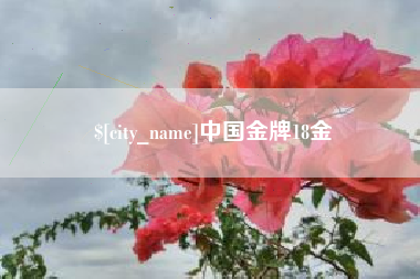 佛山中国金牌18金