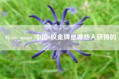 佛山中国6枚金牌是哪些人获得的