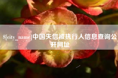 佛山中国失信被执行人信息查询公开网址
