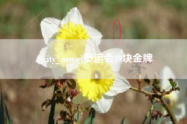 佛山奥运会39块金牌