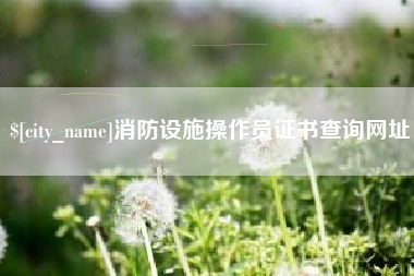 佛山消防设施操作员证书查询网址