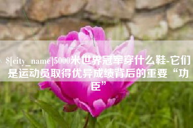 佛山5000米世界冠军穿什么鞋-它们是运动员取得优异成绩背后的重要“功臣”