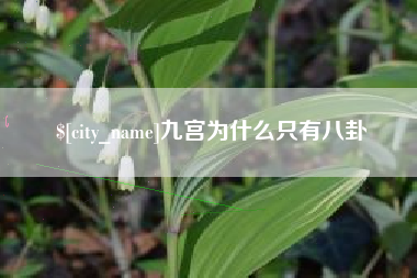 佛山九宫为什么只有八卦