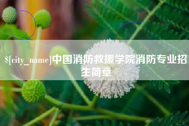 佛山中国消防救援学院消防专业招生简章