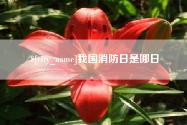 佛山我国消防日是哪日