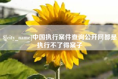 佛山中国执行案件查询公开网都是执行不了得案子