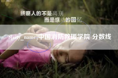 佛山中国消防救援学院 分数线