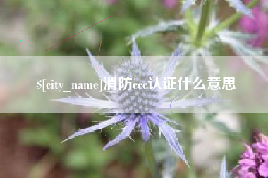 佛山消防ccc认证什么意思