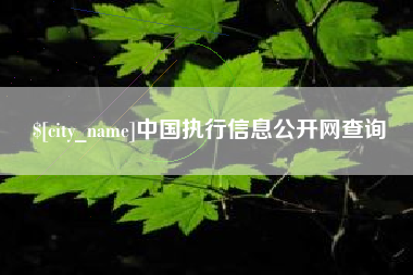 佛山中国执行信息公开网查询