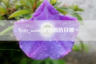 佛山全国消防日哪一