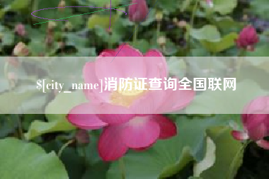 佛山消防证查询全国联网