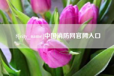 佛山中国消防网官网入口