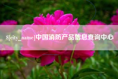 佛山中国消防产品信息查询中心
