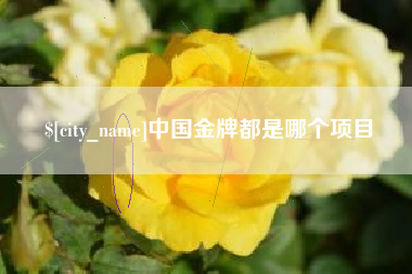 佛山中国金牌都是哪个项目